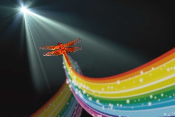 taking flight festival